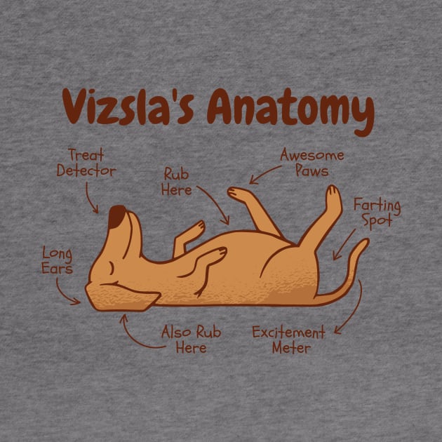 Anatomy Of A Viszla T by LindenDesigns